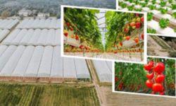 Uşak’ta 3 bin kişiye iş sağlayacak proje hızlandırıldı