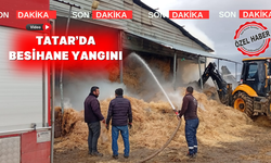 Uşak’ın Sivaslı ilçesinde besihane yangını