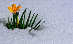 2026 Cemre Tarihleri Belli Oldu!