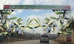 Uşaklı gurbetçi köylülerine zeytin ağacı fidanı dağıttı