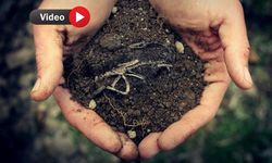 Uşaklı ÇKS kayıtlı çiftçilere büyük destek