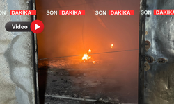 Eşme'de tavuk çiftliğinde yangın çıktı