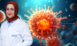 Nipah virüsü yüksek ölüm oranına sahip
