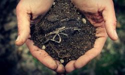 Uşaklı ÇKS kayıtlı çiftçilere büyük destek