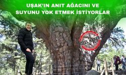 Uşak’ın sembolü “Anıt Ağacı’ yok etmek istiyorlar