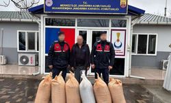 Uşak’ta 6 çuval çörekotu çalan kişi tutuklandı