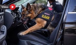 Uşak Emniyetinin sevimli dostu ölüm tacirlerine göz açtırmıyor