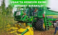 Uşak tarımı ‘yeşil altın’ la şaha kalkacak