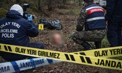 Dere Yatağında Bulunan Ces*din Kafa Kısmı Ormanda Çıktı