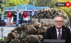 “Uşaklı pancar üreticisine neden kota konuyor?"