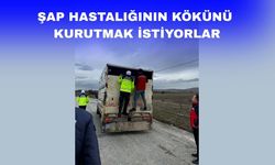 Uşak’ta şap hastalığına sıkı kontrol
