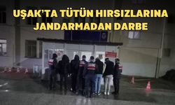 Uşak Karahallı'da Jandarmadan Tütün Hırsızlarına Darbe: 4 Gözaltı!
