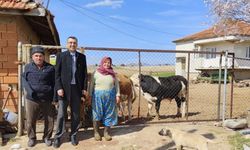 Uşak Tarım ve Orman Müdürü Bilir üreticilerin yanında