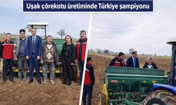 Çörekotu üretiminde şampiyon Uşak'ta yazlık üretim başladı