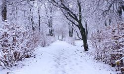 Badılcamı Köyünde Bayramda Kar Sürprizi