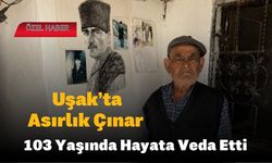 Uşak’ta Asırlık Çınar 103 Yaşında Hayata Veda Etti