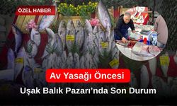 Av Yasağı Öncesi Uşak Balık Pazarı’nda Son Durum