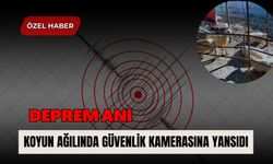 Deprem Anı Koyun Ağılında Güvenlik Kamerasına Yansıdı