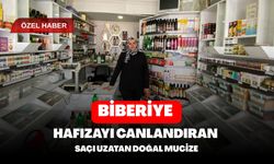 Biberiye: Hafızayı Canlandıran ve Saçı Uzatan Doğal Mucize