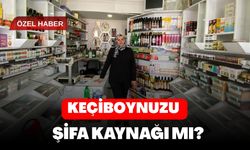 Keçiboynuzu Şifa Kaynağı mı ?