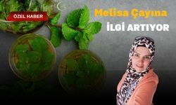 Melisa Çayına İlgi Artıyor