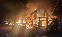 Feci Yangında 580 Hayvan Telef Oldu