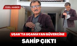 Uşak’ta Uçamayan Güvercine Sahip Çıktı