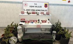 Jandarmadan Uşak merkezde 2 mahalleye operasyon