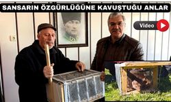 Uşaklı Çiftçinin yakaladığı sansar doğaya bırakıldı