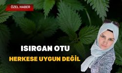 Isırgan Otu Herkese Uygun Değil