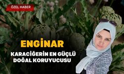 Enginar, Karaciğerin En Güçlü Doğal Koruyucusu