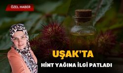 Uşak’ta Hint Yağına İlgi Patladı