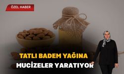 Tatlı Badem Yağına Yoğun İlgi