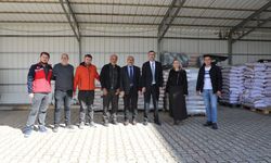 Uşak’ta Ayçiçeği Üretimine Büyük Destek