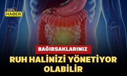 Bağırsaklarınız Ruh Halinizi Yönetiyor Olabilir