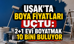 Uşak’ta Boya Fiyatları Uçtu: 2+1 Evi Boyatmak 10 Bini Buluyor