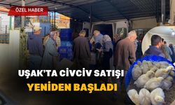 Uşak’ta Civciv Satışı Yeniden Başladı
