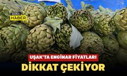 Uşak’ta Enginar Fiyatları Dikkat Çekiyor