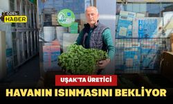 Uşak’ta Üretici Havanın Isınmasını Bekliyor