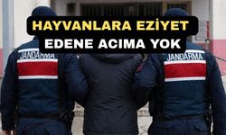 Uşak’ta Bir köpeğe İşkence Eden Fikret U. Tutuklandı