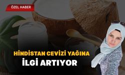Hindistan Cevizi Yağına İlgi Artıyor