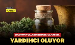Solunum Yollarının Rahatlamasına Yardımcı Oluyor