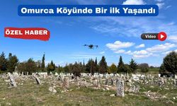 Uşak’ta ilk kez köy mezarlığı dron ile ilaçlandı
