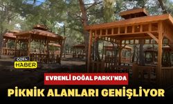 Evrenli Doğal Parkı’nda Piknik Alanları Genişliyor