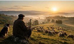 Uşak’ta yeni ‘Sürü Yönetimi Kursları’ açılıyor