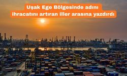 Ege Bölgesi’nin İhracatı Eridi Uşak’ın ki Arttı