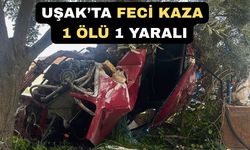 Uşak’ta Otomobil Bahçe Duvarına çarptı; 1 Ölü