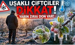 Uşaklı Çiftçiler Dikkat! Yarın Zirai Don Bekleniyor