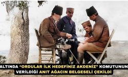 Uşak’ta Kurtuluş Savaşı Tanığı Ağacın Belgeseli Çekildi