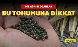 Diz Ağrısı Olanlar Bu Tohuma Dikkat!